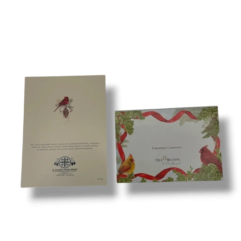 Christmas Cards Lot Cardinal Bird Holiday Greeting Cards Set Vintage Winter